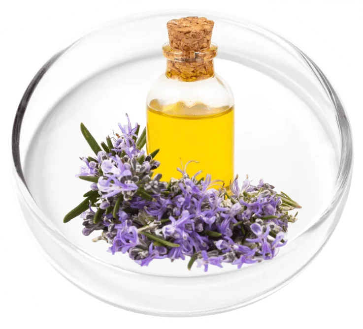 Lavender Oil